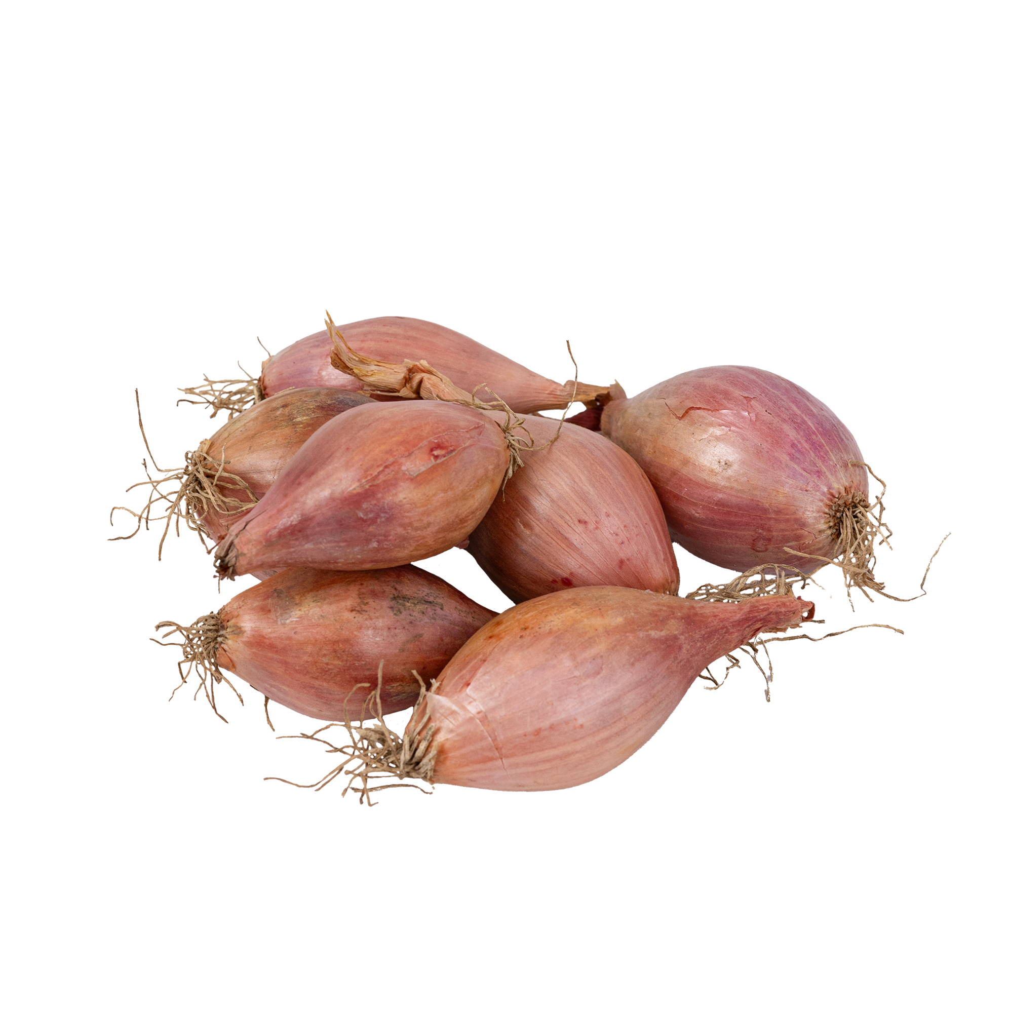 schalottenlök frilagd bild